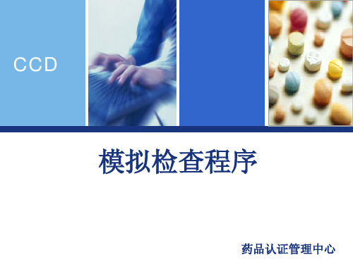 模拟检查程序--孙京林