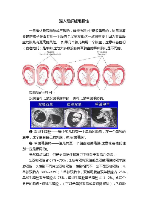 深入理解绒毛膜性