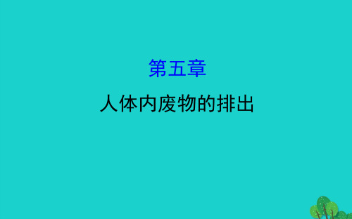 七年级生物下册4.5人体内废物的排出习题课件(新版)新人教版 (1)