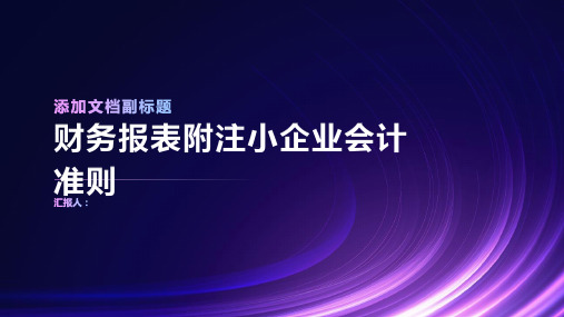 财务报表附注小企业会计准则