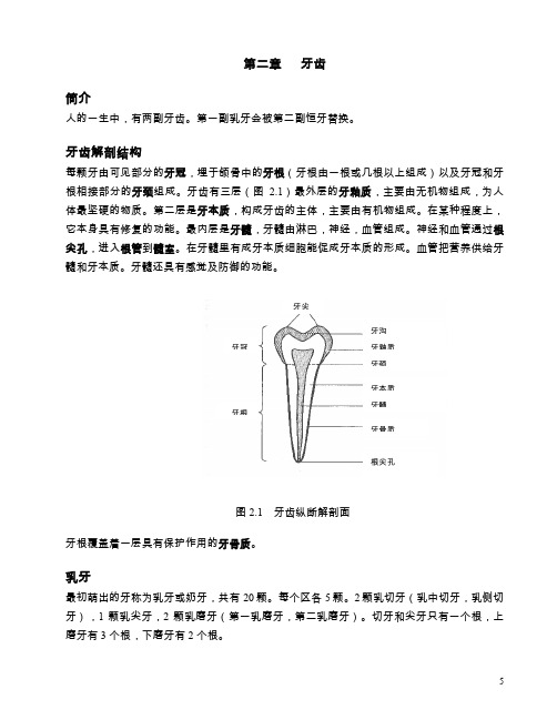 第二章牙齿简介牙齿解剖结构