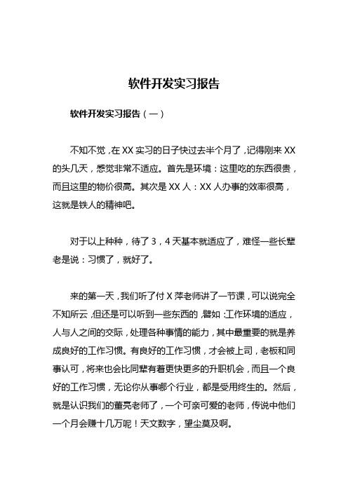 软件开发实习报告范文3篇