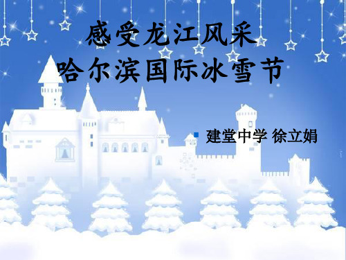 中国哈尔滨国际冰雪节资料