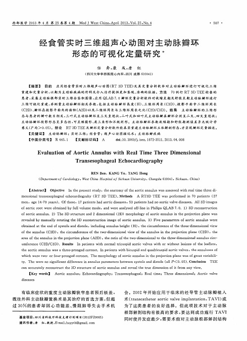 经食管实时三维超声心动图对主动脉瓣环形态的可视化定量研究