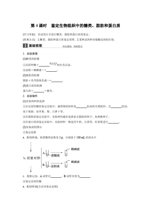 2018版高中生物苏教版必修一学案：2.2.4+鉴定生物组织中的糖类、脂肪和蛋白质