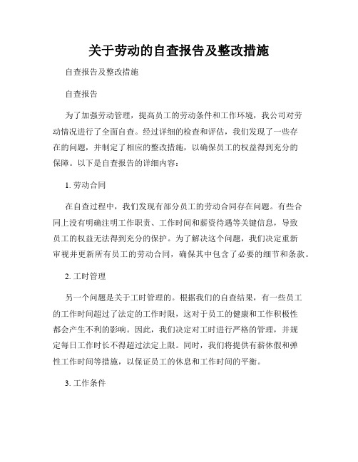 关于劳动的自查报告及整改措施