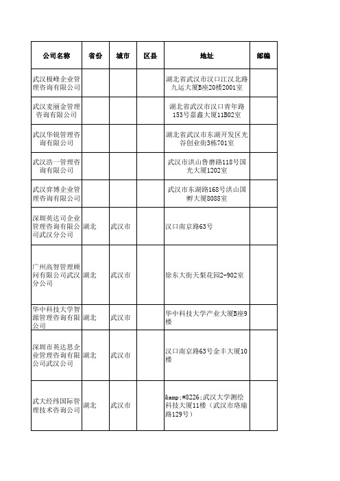 湖北咨询公司名录