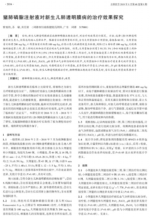 猪肺磷脂注射液对新生儿肺透明膜病的治疗效果探究