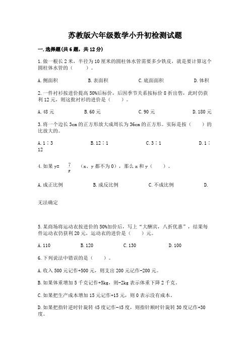 苏教版六年级数学小升初检测试题附完整答案(各地真题)