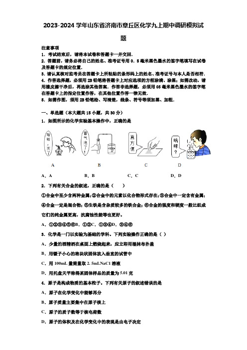 2023-2024学年山东省济南市章丘区化学九上期中调研模拟试题含解析