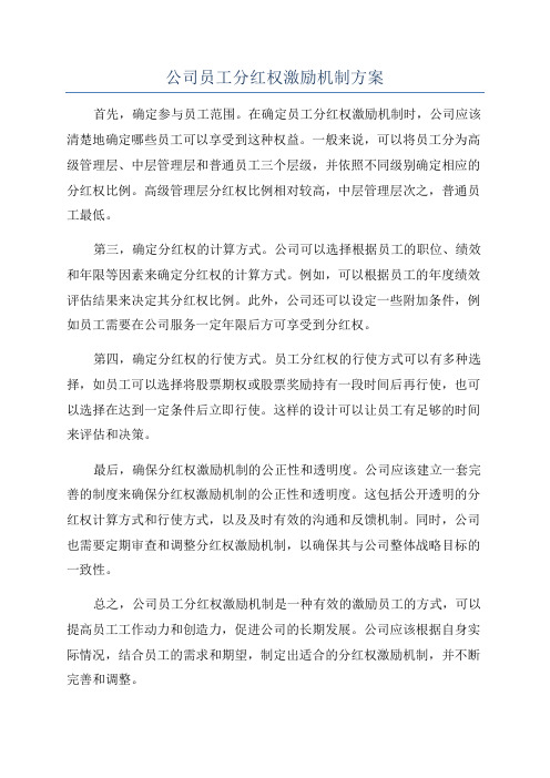 公司员工分红权激励机制方案