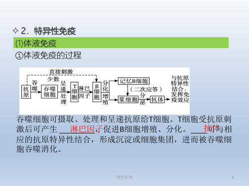 【学习方案】2020高考生物二轮复习第10章动物生命活动的调节课件_2_21-25