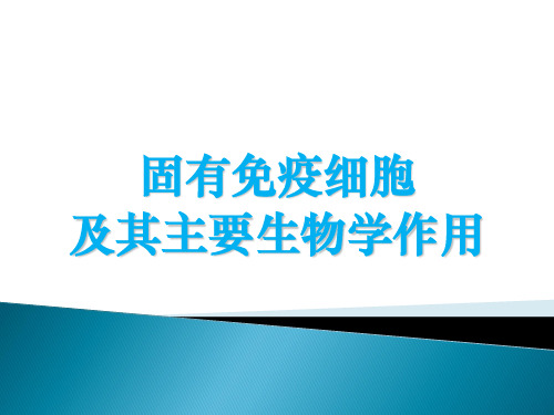 医学免疫学：14-1固有免疫细胞及其主要生物学作用