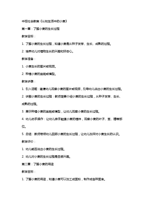 中班社会教案《认知生活中的小麦》