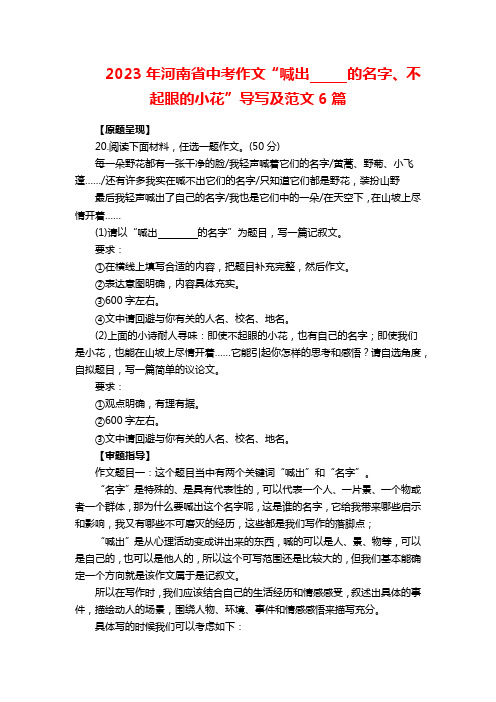 2023年河南省中考作文“喊出     的名字、不起眼的小花”导写及范文6篇