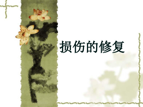【病理学】 损伤的修复PPT