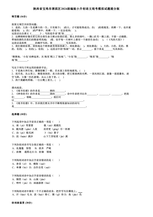 陕西省宝鸡市渭滨区2024部编版小升初语文统考模拟试题提分版