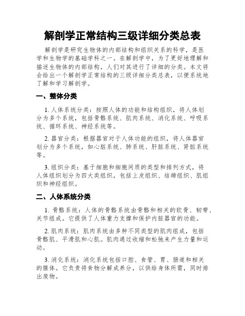 解剖学正常结构三级详细分类总表