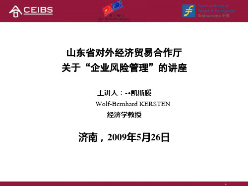 企业风险管理(中文版)ppt-PowerPoint演示