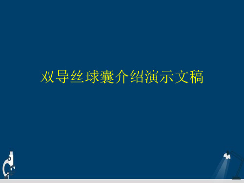 双导丝球囊介绍演示文稿