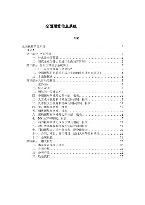 全面预算信息系统的分析