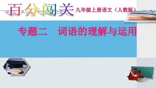 九年级语文上册专题复习二 词语的理解与运用