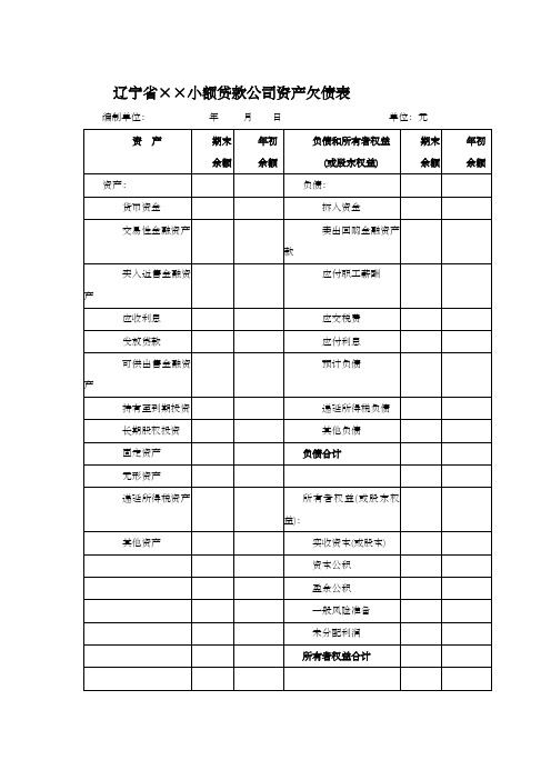 小额贷款公司财务报表一、二、3