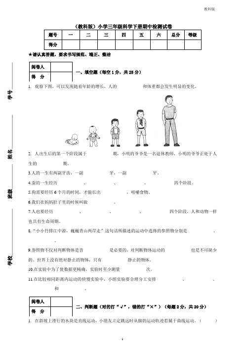 (教科版)小学科学新版三年级下册科学期中检测试卷(含答案)