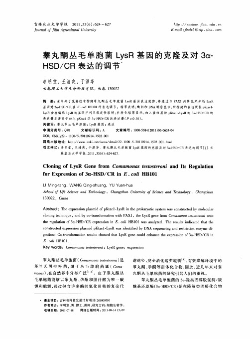 睾丸酮丛毛单胞菌LysR基因的克隆及对3a(HSD／CR表达的调节