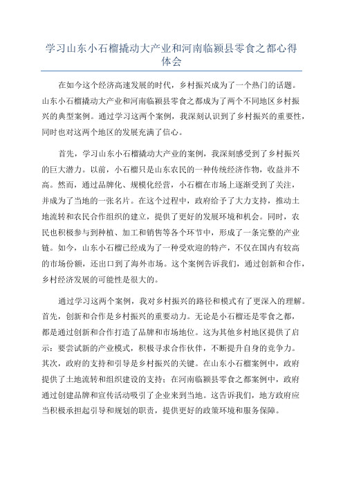 学习山东小石榴撬动大产业和河南临颍县零食之都心得体会