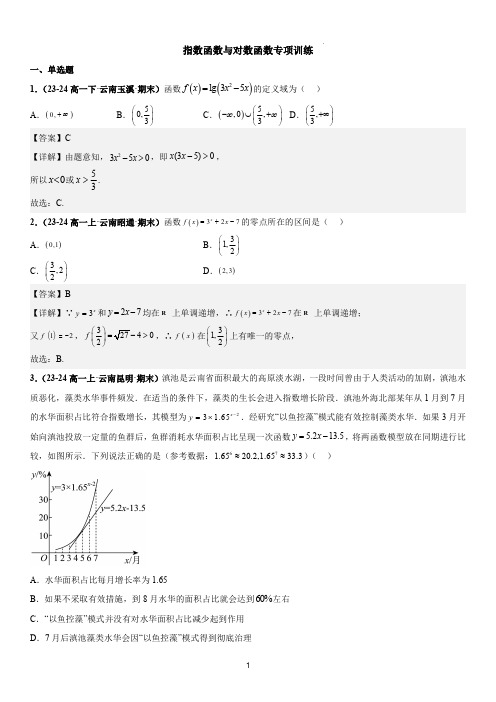 指数函数与对数函数专项训练(解析版)