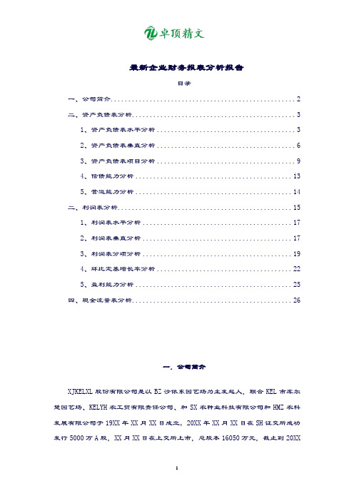 卓顶精文最新企业财务报表分析报告.docx