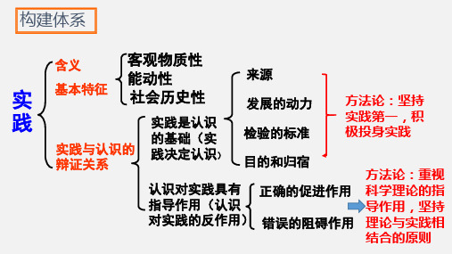 高中政治 必修四哲学生活 6.2  在实践中追求和发展真理