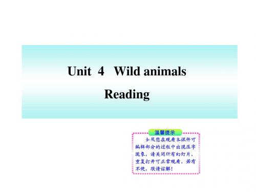 英语：Unit 4 Reading同步授课课件(译林版八年级上)