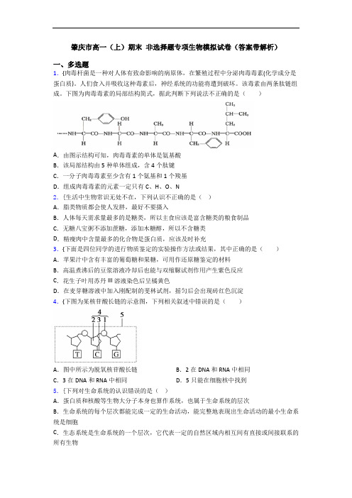 肇庆市高一(上)期末 非选择题专项生物模拟试卷(答案带解析)