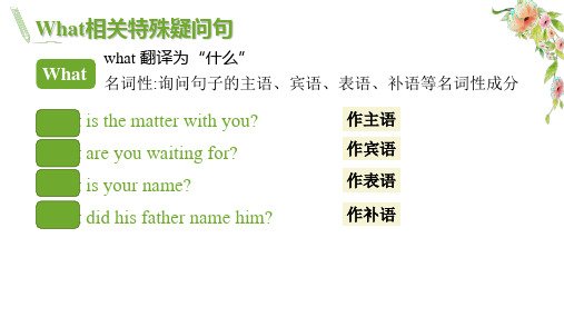 语法---What相关特殊疑问句超详细讲解课件2021-2022学年人教版七年级上册英语