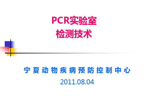 PCR实验室检测技术