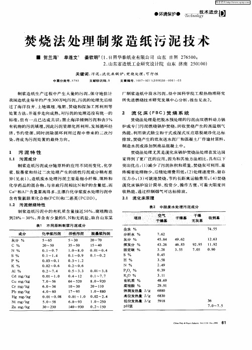 焚烧法处理制浆造纸污泥技术