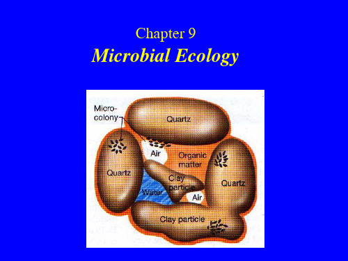 Microbial Ecology(Chapter 9)