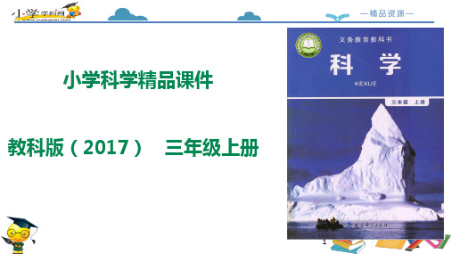 (精优课件)三年级上册科学-1.3《水结冰了》教科版(共20张PPT)