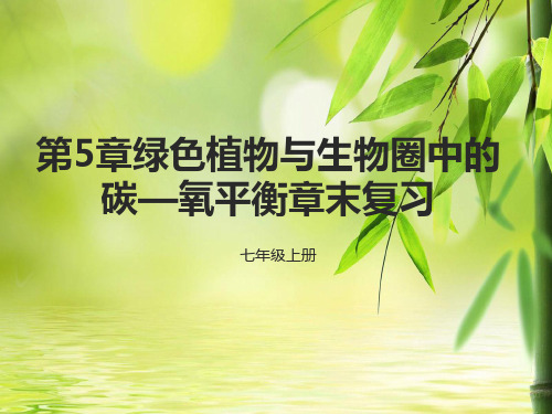 第5章绿色植物与生物圈中的碳—氧平衡章末复习课件(人教版生物)