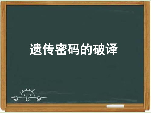 人教版高中生物必修二《遗传密码的破译(选学)》课件