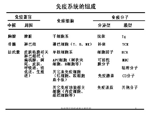 免疫器官的组成和主要作用培训课件