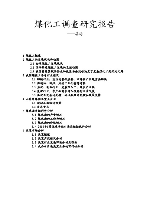 2010年煤化工调查研究报告