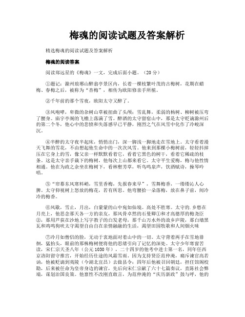 梅魂的阅读试题及答案解析