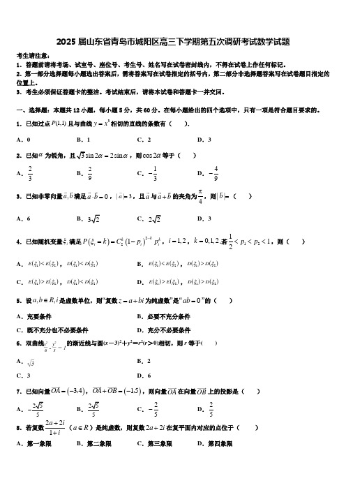 2025届山东省青岛市城阳区高三下学期第五次调研考试数学试题含解析