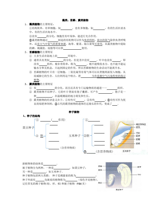 藻类、苔藓、蕨类和种子植物复习总结