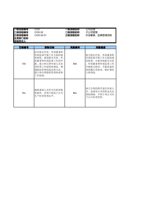 企业外派股东代表、董事、监事管理流程(任职、权责分配、履职及考核)_RCM风险控制矩阵模版.