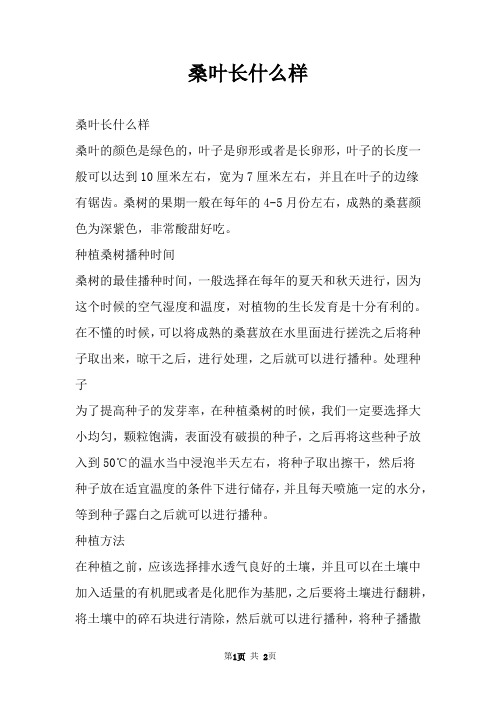 桑叶长什么样 