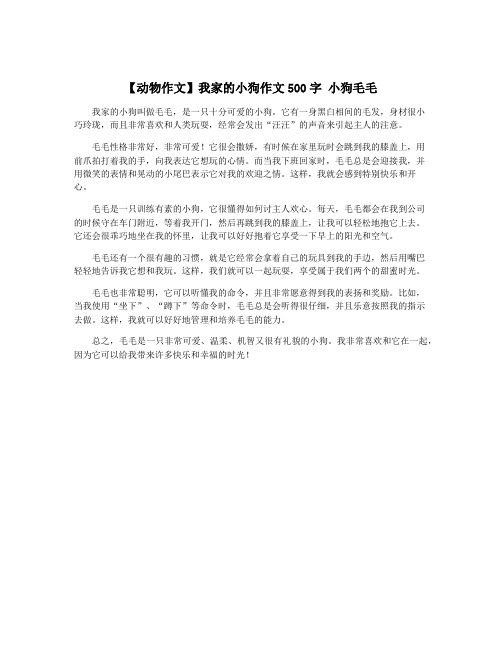 【动物作文】我家的小狗作文500字 小狗毛毛